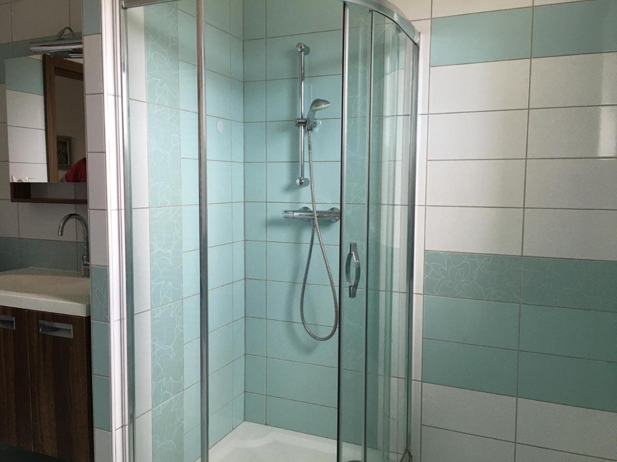 Apartman Krasna Vyhlidka Dolni Benesov ภายนอก รูปภาพ